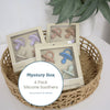 PLUM 4pk Silicone Soothers Mystery Box 6-18M