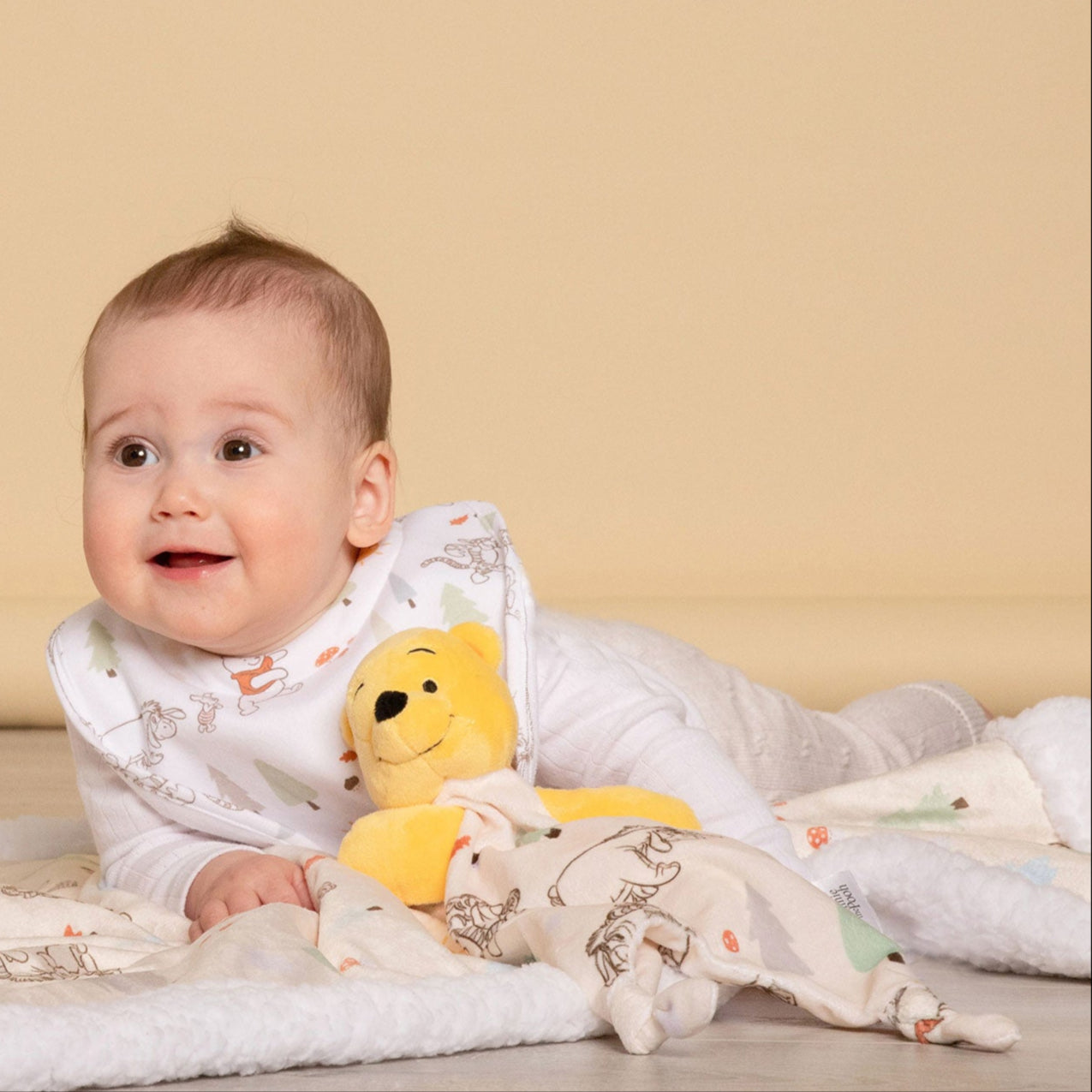 Disney Winnie the Pooh Comforter Toy