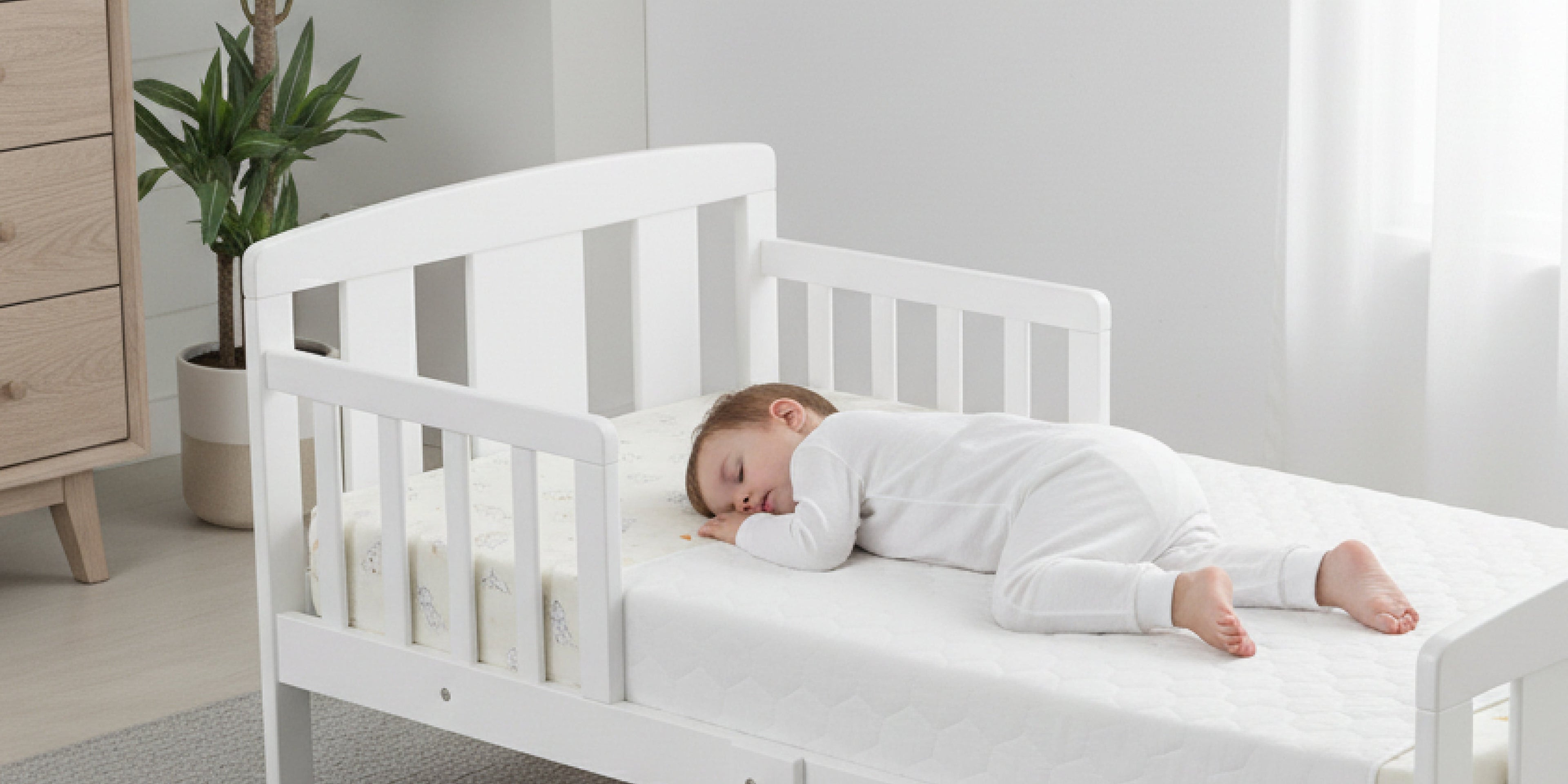 Mattress Protectors & Spray