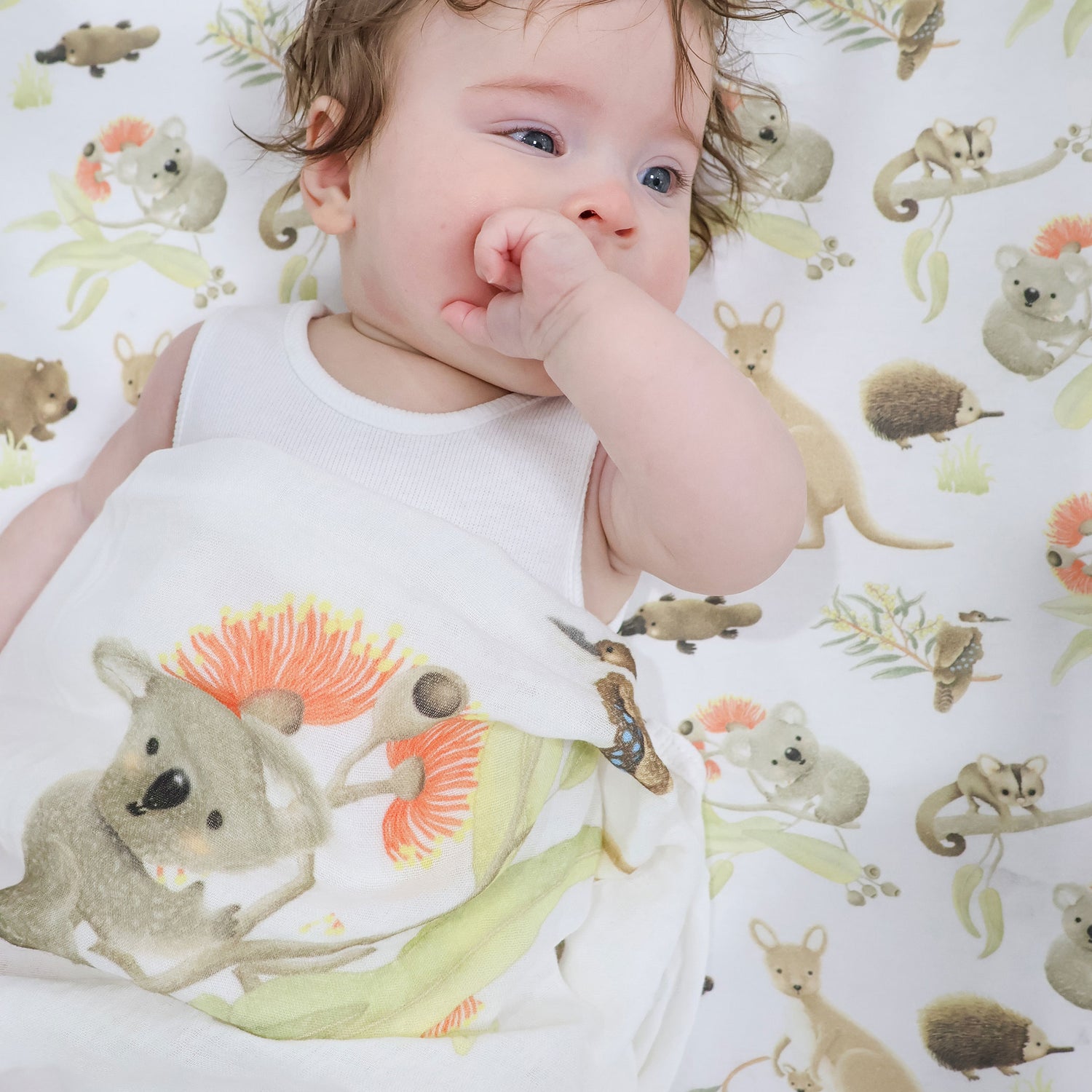 Aussie Animals 3pk Muslin Wraps