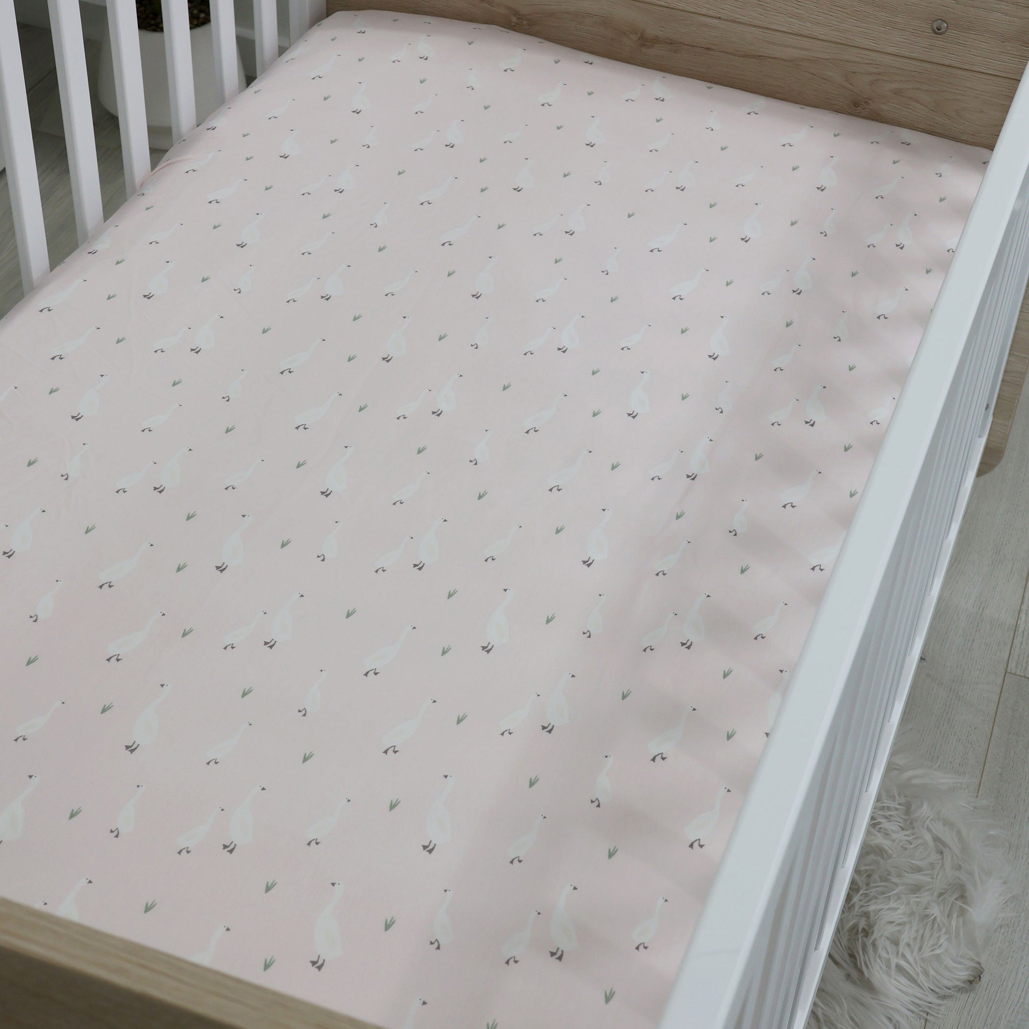 Provincial 2pk Jersey Cot Fitted Sheets - Blush/Grey