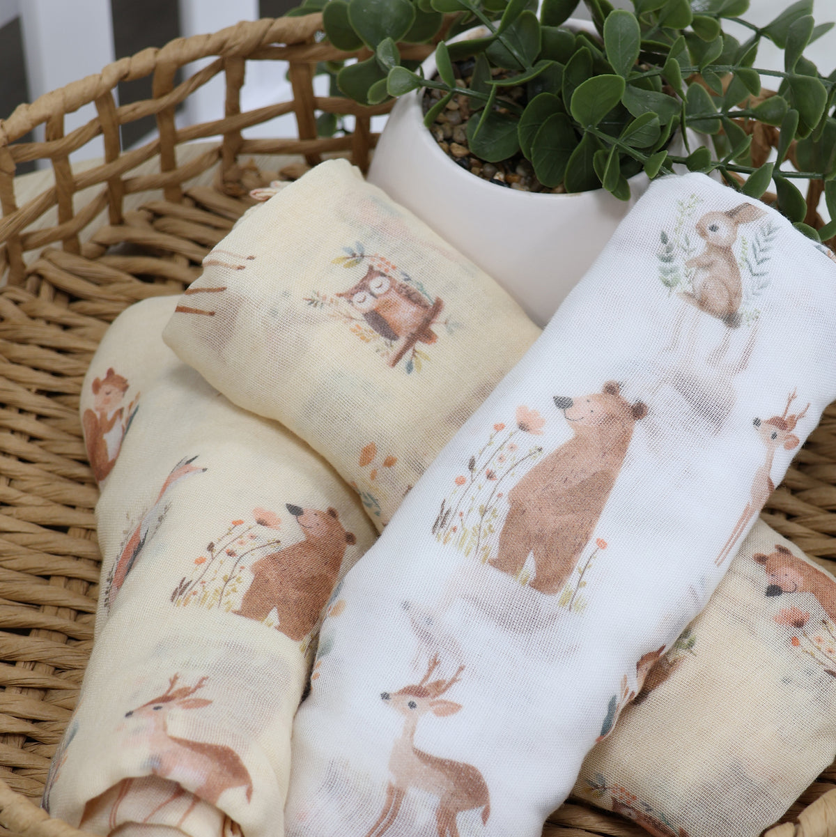 Enchanted 3pk Muslin Wraps