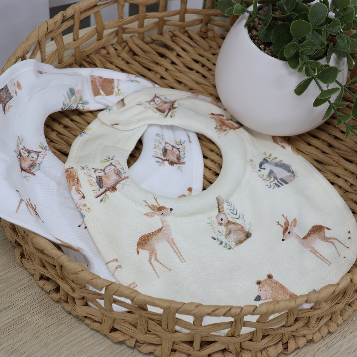 Enchanted 2pk Dribble Bibs