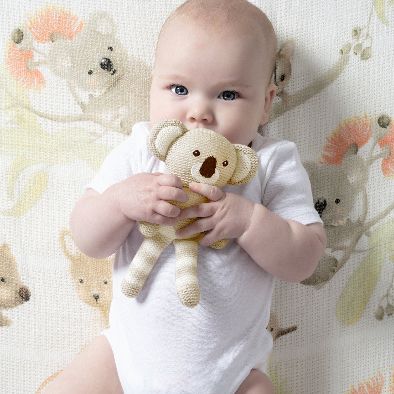Aussie Animals Koala Knit Rattle & Cellular Blanket Set