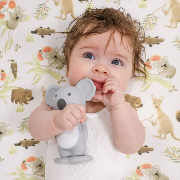 Aussie Animals 'Koala' Bundle - Novelty Hooded Towel, Security Blanket, Silicone Bib and Teether