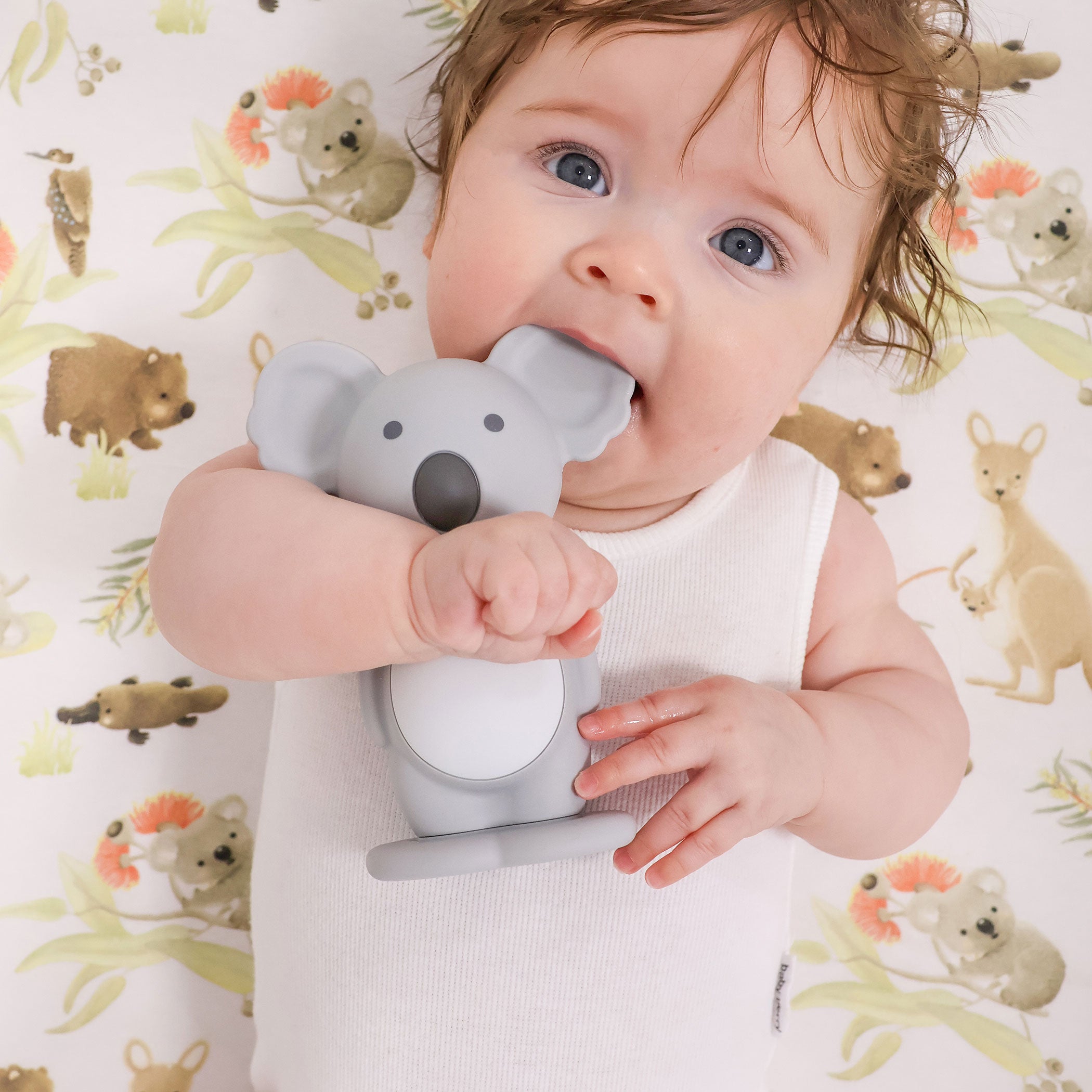 Aussie Animals 'Koala' Bundle - Novelty Hooded Towel, Security Blanket, Silicone Bib and Teether