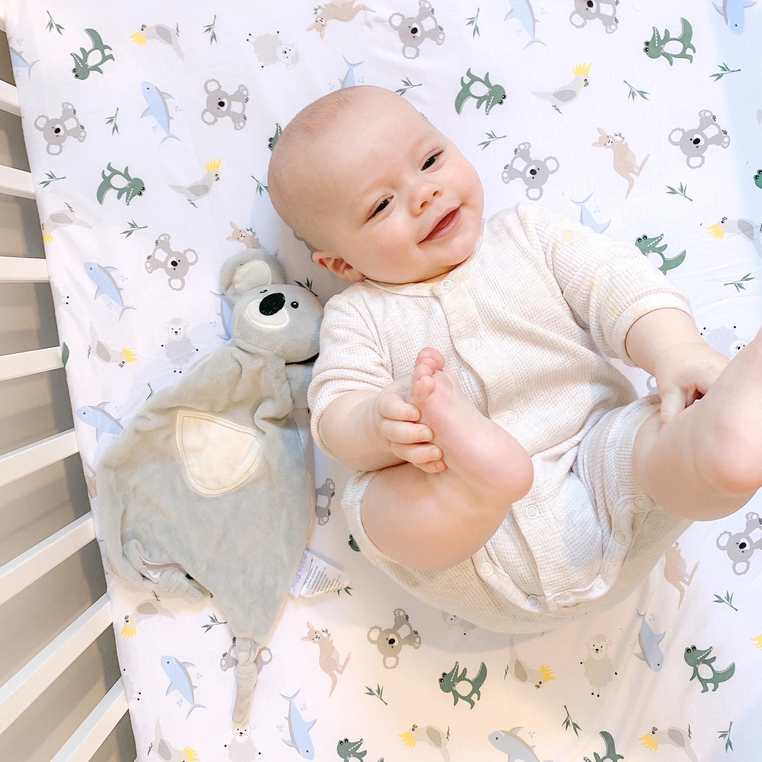 Aussie Animals Jersey Cot Fitted Sheet